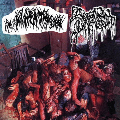 Serotonin Leakage : Bovine Fecal Matter - Serotonin Leakage